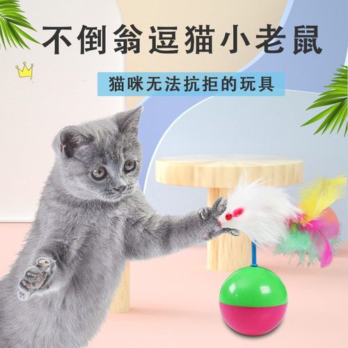 猫玩具不倒翁玩具毛绒互动益智