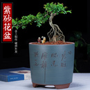 紫砂花盆君子兰兰花多肉文竹发财树植客厅精品透气陶瓷盆景盆 包邮