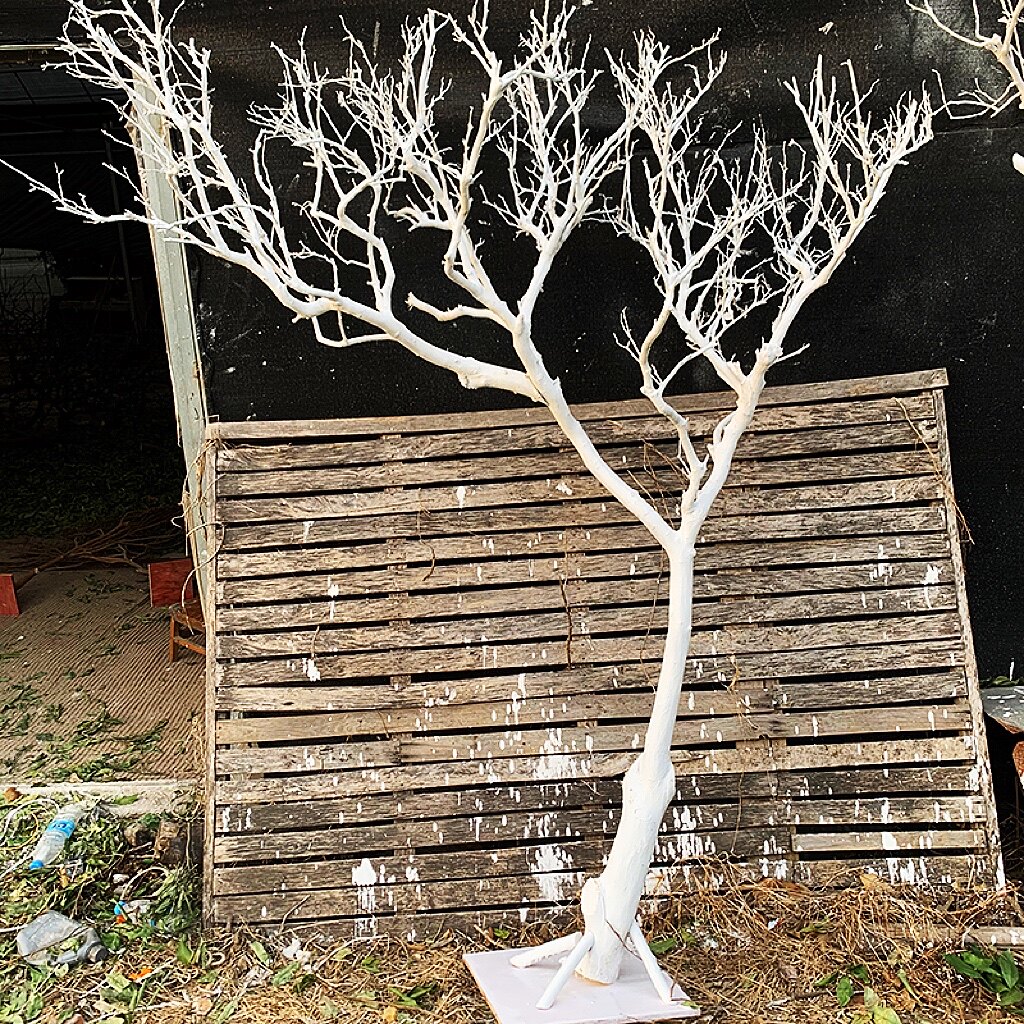 天然干树枝装饰树枝造型树许愿原皮枯树干枝造景庭院原创设计包邮_虎窝淘