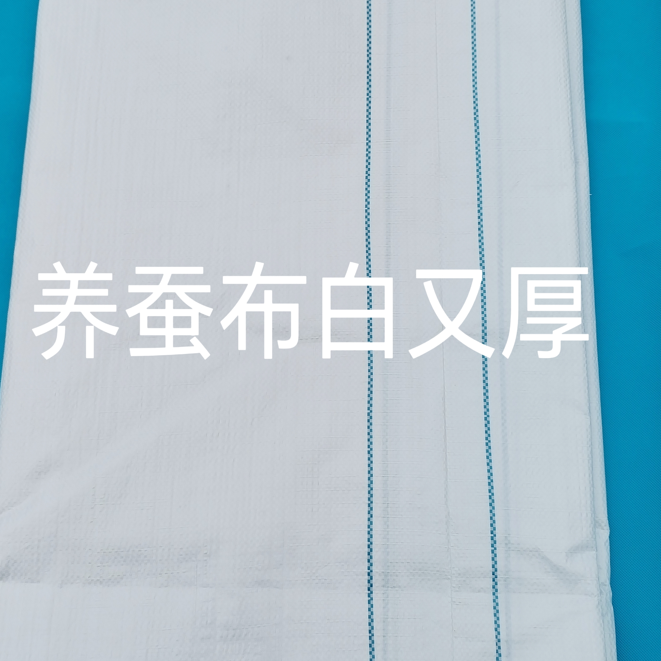 蚕具蚕药桑树养蚕工具方格簇