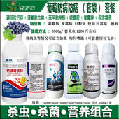 葡萄树专用药套袋套餐组合葡萄霜霉病白粉病桃蚜虫杀虫杀菌剂农药