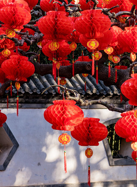 2026新款马年小灯笼挂饰户外门口大红蜂窝球挂件春节过年布置装饰