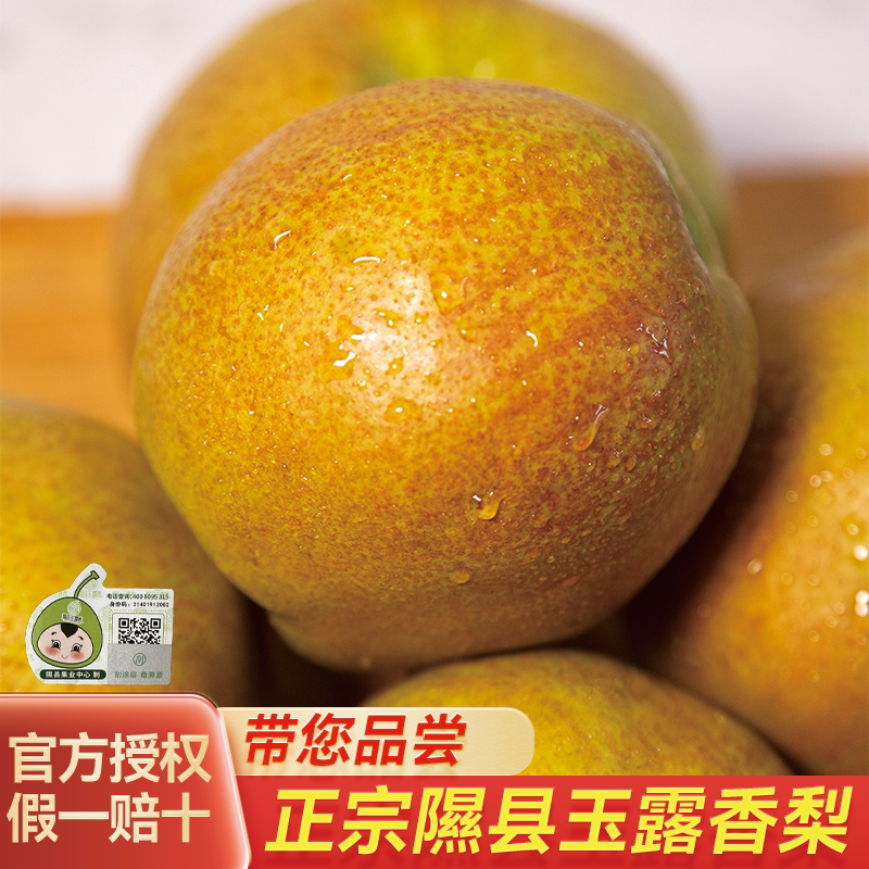 山西隰县玉露香梨水果新鲜当季整梨