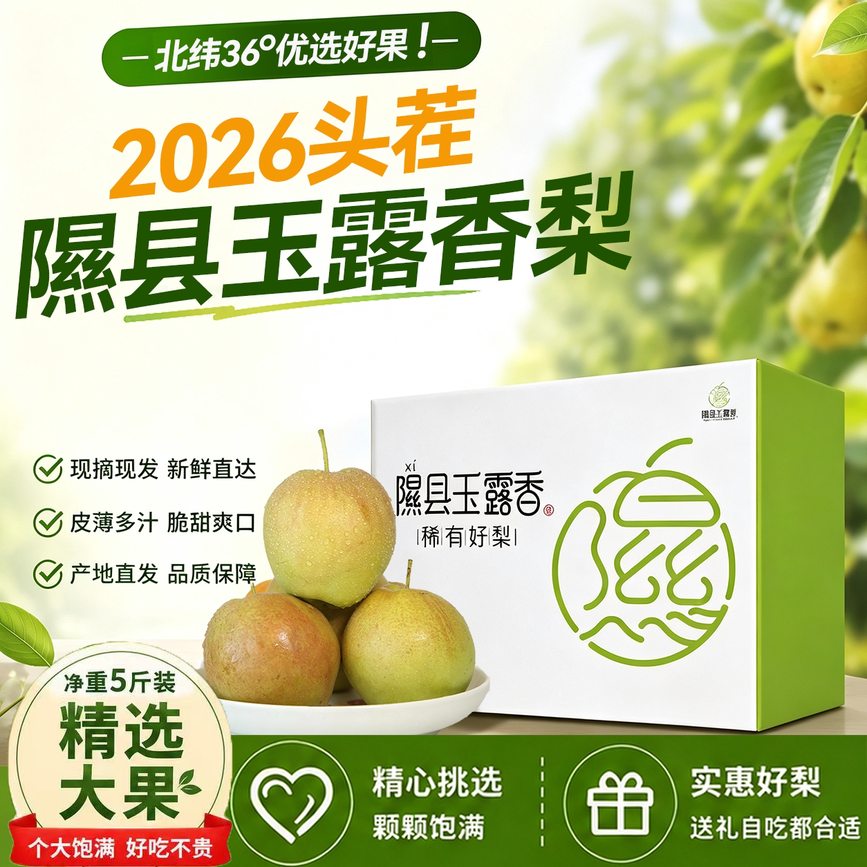 正宗山西隰县玉露香梨应季8斤隰梨