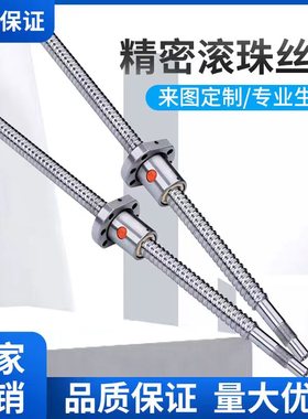 高速静音精密滚珠丝杆丝杠SFS1205/1620/2020/2525/3220/4020螺母