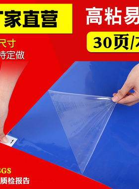 供应65*115cm绿色蓝色无尘车间粘尘垫 26*45标签式黑色粘灰垫一本
