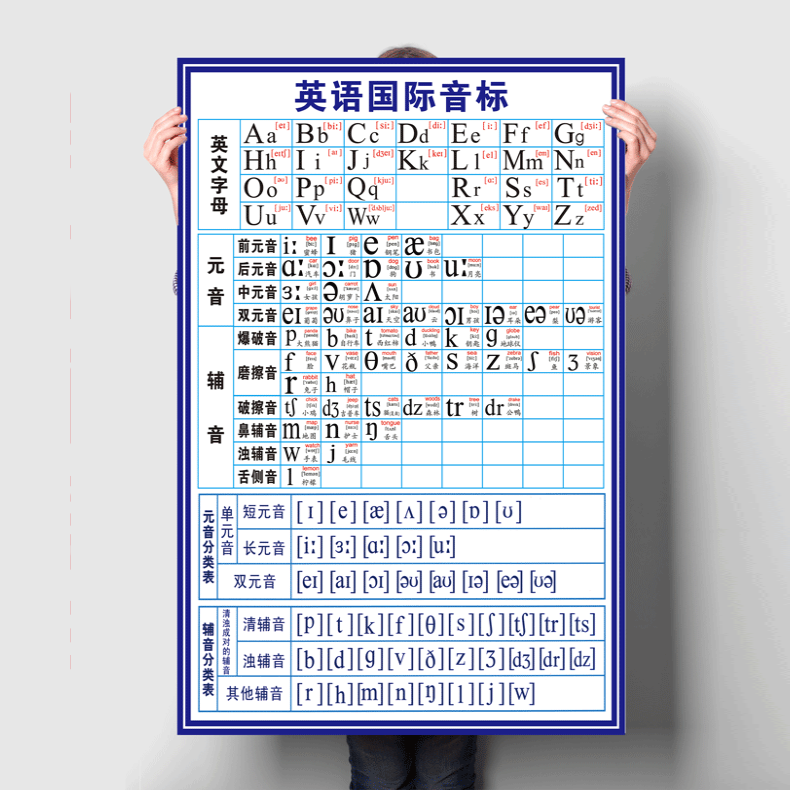 国际教室布置元音墙贴