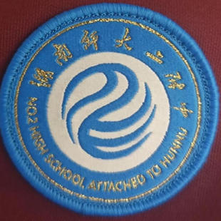 长沙博纳二附中(湖南师大二附中学）校服春秋运动装短袖T恤礼服