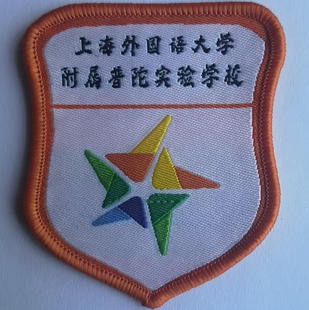 上海外国语大学附属普陀实验学校校服春秋运动装夏短袖T恤冬装