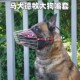 狗狗嘴套马犬德牧铁嘴笼中大型犬金毛杜高口罩防咬防叫防乱吃口笼