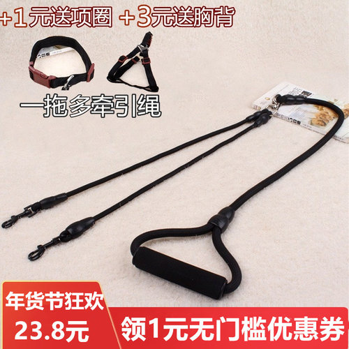 二只两条宠物防缠绕狗狗牵引绳