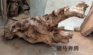 天然香樟根摆件 风化 瘿木 脱骨材料 民宿装饰 根抱石 —骏马奔腾