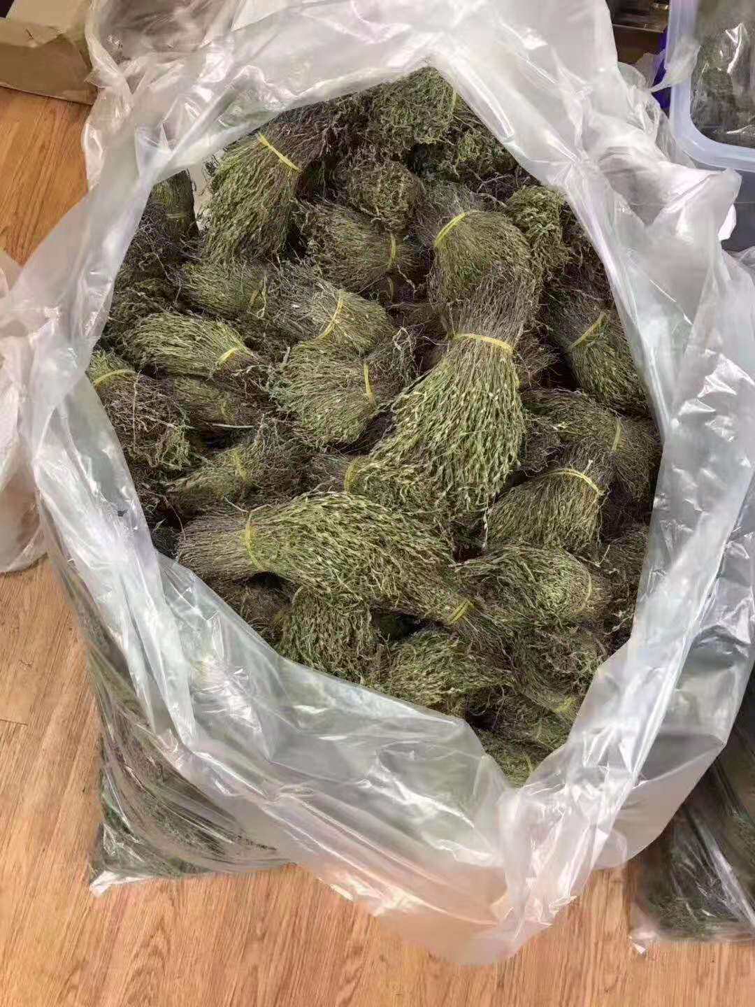 野生20g中药材新鲜汤包