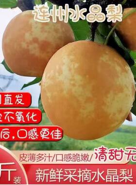 连州水晶梨潭岭水晶梨谭岭翠冠梨