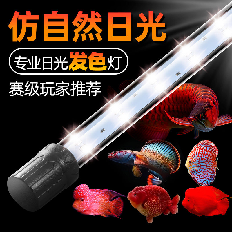LED鱼缸灯管防水三基色高亮罗汉鱼鹦鹉红龙灯雷龙神仙鱼增艳灯T8