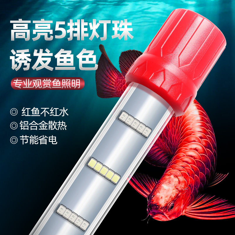 LED鱼缸灯专用蝴蝶鲤鹦鹉增艳照明观赏水族高亮氛围防水潜水灯管