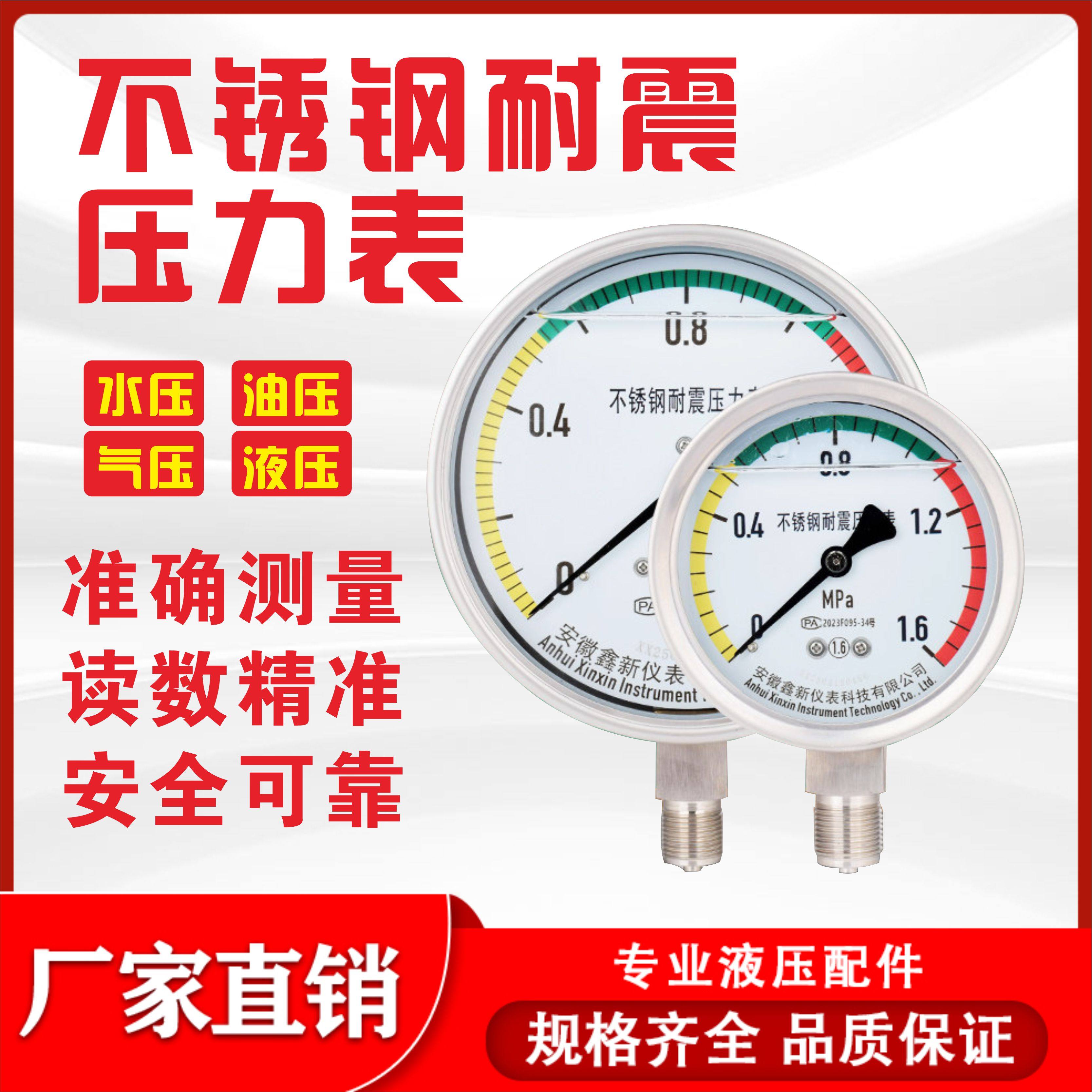 不锈钢耐震压力表YN100B