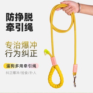 哒哒熊狗狗牵引绳多巴胺彩色遛狗绳可斜挎中小型犬P绳涤纶狗绳p链