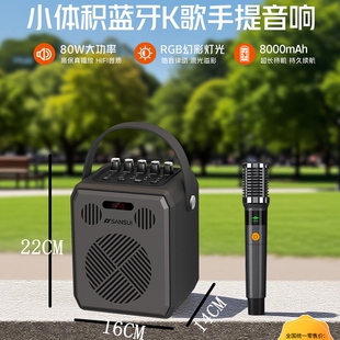 山水G008迷你小音响户外家用广场舞唱歌电吹管手提蓝牙音箱低音炮