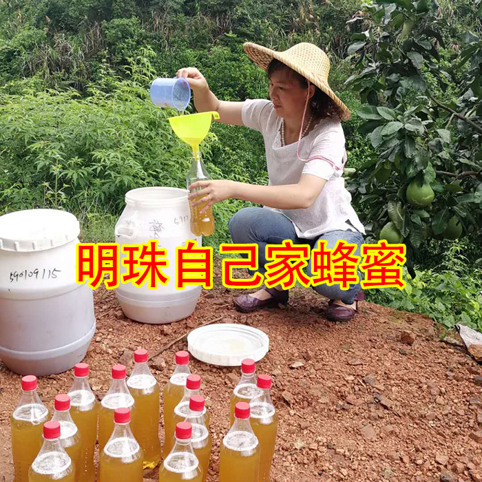 天然纯正广东龙眼蜜百花蜜3斤装农家自产顺丰包邮