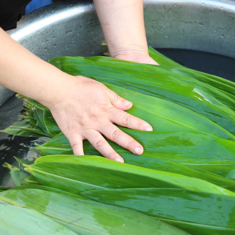 粽叶新鲜粽子叶大号干粽叶野生箬叶粽叶批发非芦苇叶100张送粽绳