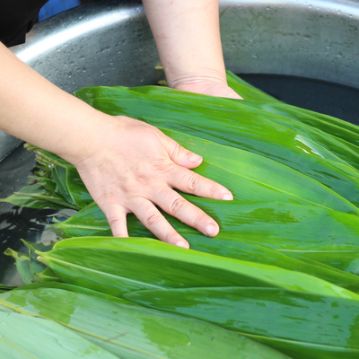 粽叶新鲜粽子叶大号干粽叶野生箬叶粽叶批发非芦苇叶100张送粽绳