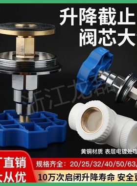 厂家直销精品PPR截止阀 铜阀芯DN20DN25DN32升降式卡簧式慢开阀芯