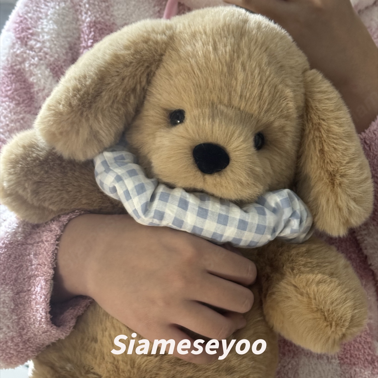 阿桃宇宙45厘米金毛抱偶材料包