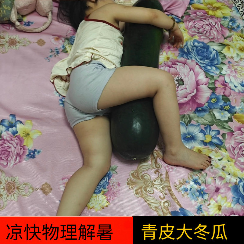 抱着睡觉清凉消暑光滑降温舒服新鲜真正超大青皮冬瓜空调