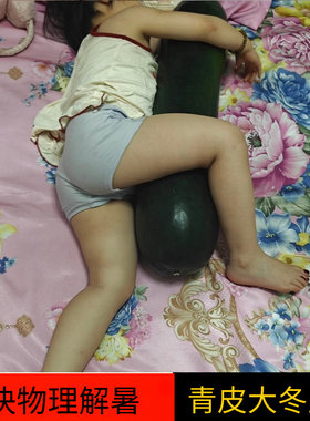 抱着睡觉清凉消暑光滑降温舒服新鲜真正超大青皮冬瓜空调