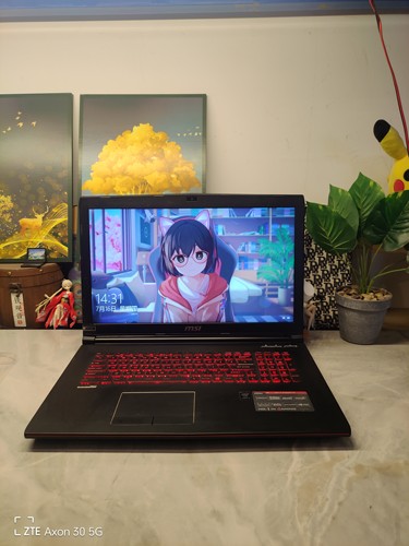二手微星GE72 2QF游戏本 17.2寸屏 i7四核GTX970M 3G独显 16G内存