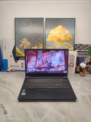 二手火影游戏本 144hz，i5 GTX1650Ti 4G独显 台式CPU性能超12代