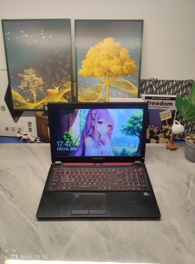 二手超薄炫龙CP95L001游戏本 15.5寸大屏i7四核GTX1060 6G独显16G