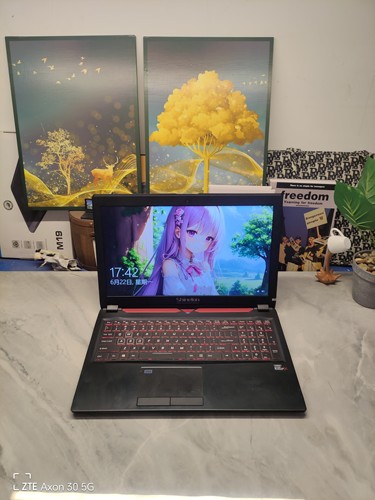 二手超薄炫龙CP95L001游戏本 15.5寸大屏i7四核GTX1060 6G独显16G