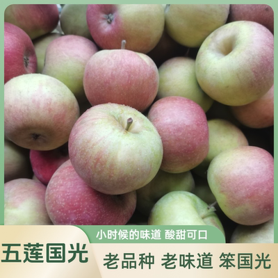 五莲老树小果光笨苹果