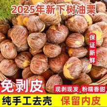 新鲜带皮生板栗仁2025年新鲜下树去壳带内皮老树油栗子粉糯香甜