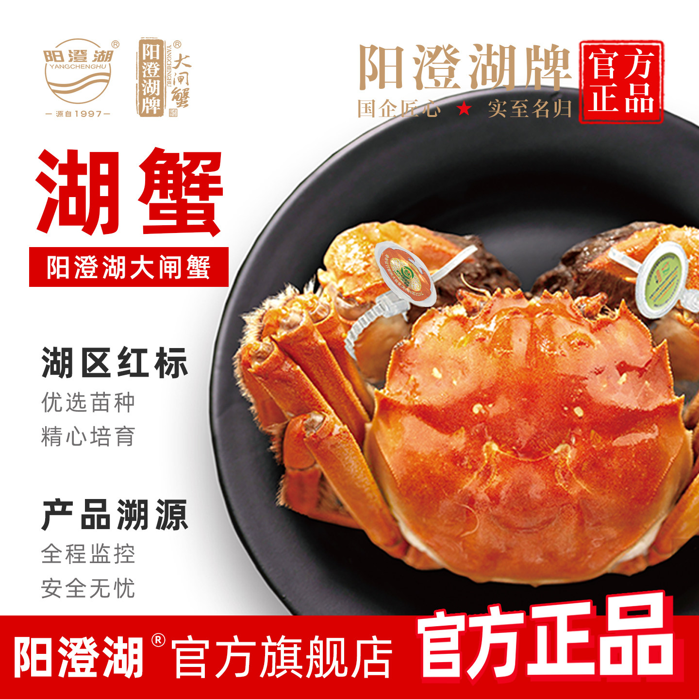 活蟹阳澄湖牌阳澄湖大闸蟹礼盒鲜活大闸蟹活特大螃蟹公母阳澄湖牌