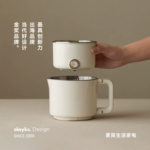 日本高端烧水壶2025新款mini小型一人316不锈钢旅行专用电热水壶