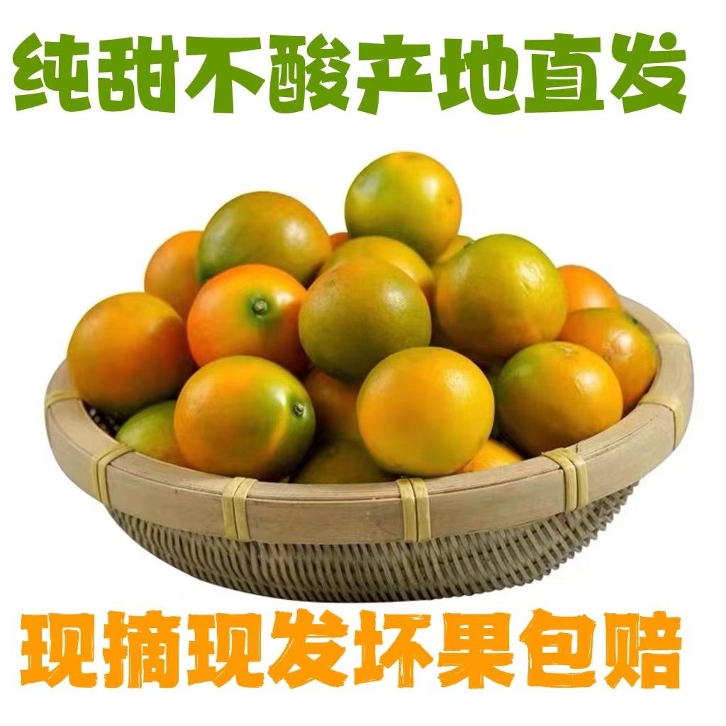 现货 广西桂林阳朔新鲜脆皮金桔 脆橘子 蜜橘 香妃柚5斤大果包邮