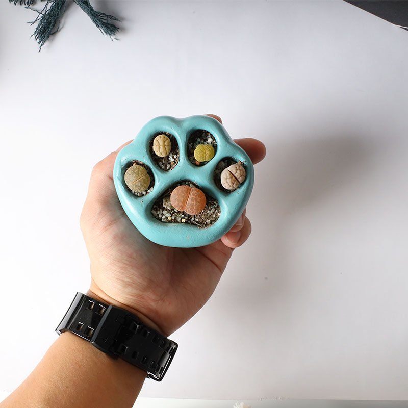 多肉陶瓷小花盆猫爪盆创意水泥卡通迷你桌面石生花小清新屁股盆栽