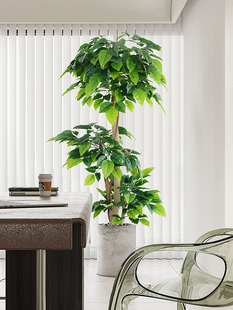 大型模拟植物快乐树金钱树客厅落地假绿色植物室内家居装饰装饰品