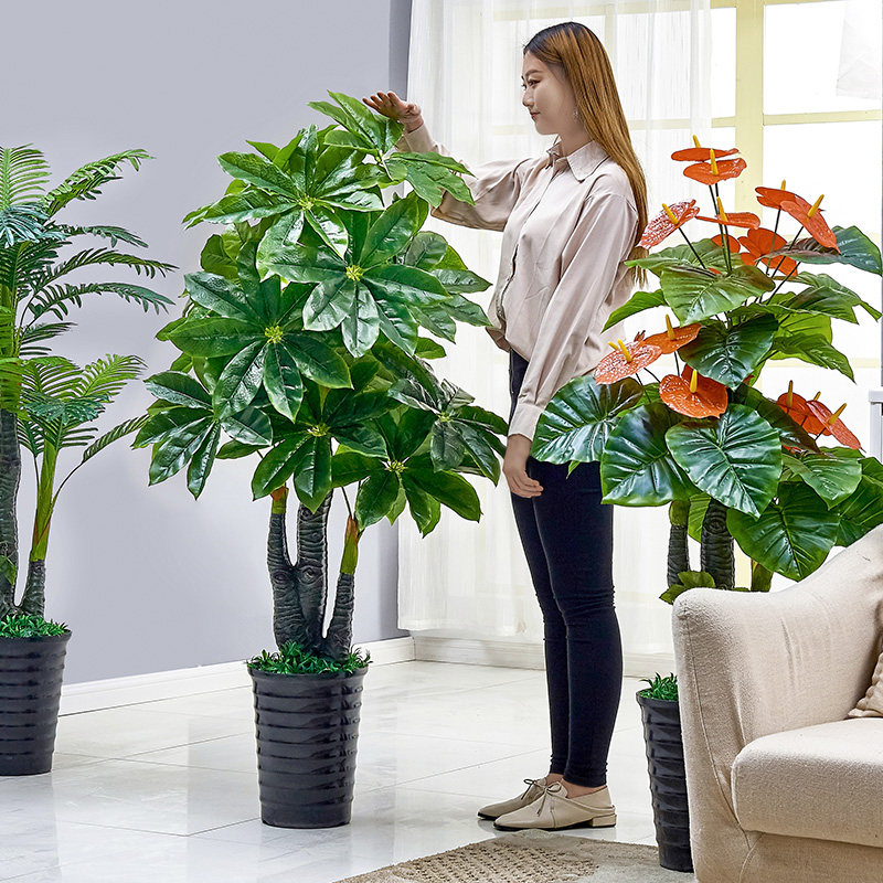 Pachira simulation Botany Potted plant Green plant Plastic Fake trees large a living room to ground bonsai decorate indoorin the Flower delivery/Flowers simulation/Plants gardening , Artificial flowers/Plants/Finished fruits and vegetables (New) , Simulation plants  category - from Buy2taobao.com to provide professional Taobao agent buy service