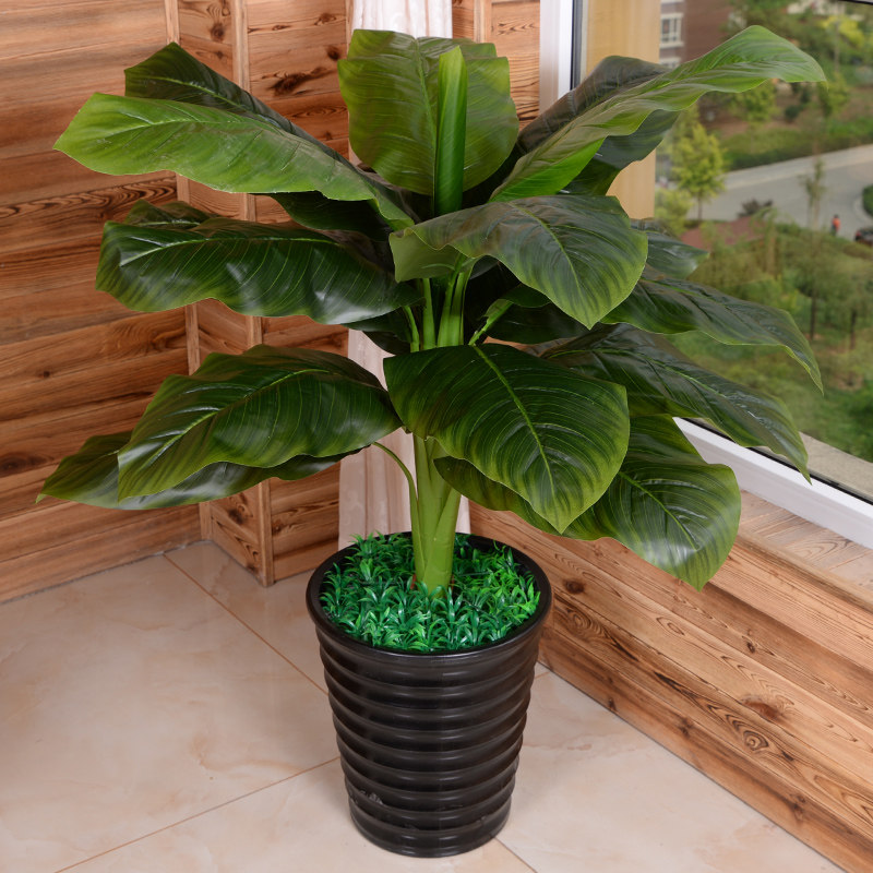 假樹綠巨人仿真植物樹綠植盆栽景客廳辦公室內高大型落地裝飾花藝在類目 鮮花速遞/花卉仿真/綠植園藝, 仿真花/綠植/蔬果成品（新）, 仿真綠植中 - 來自Buy2taobao.com提供專業的淘寶代購服務