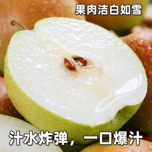 山西运城绿宝石梨脆甜多汁现摘