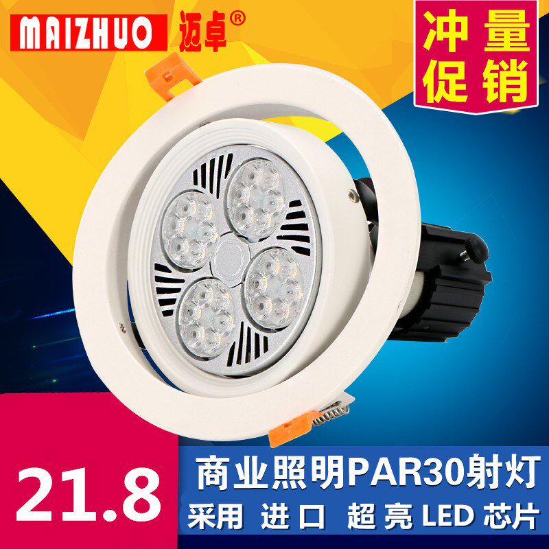 嵌入式PAR30射灯天花灯筒灯孔灯LED射灯25W35W40W服装店商业展厅