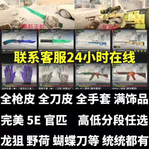 CSGO租号cs2完美世界绿色巨龙传说野荷满红和服迈阿密潘多拉蝴蝶