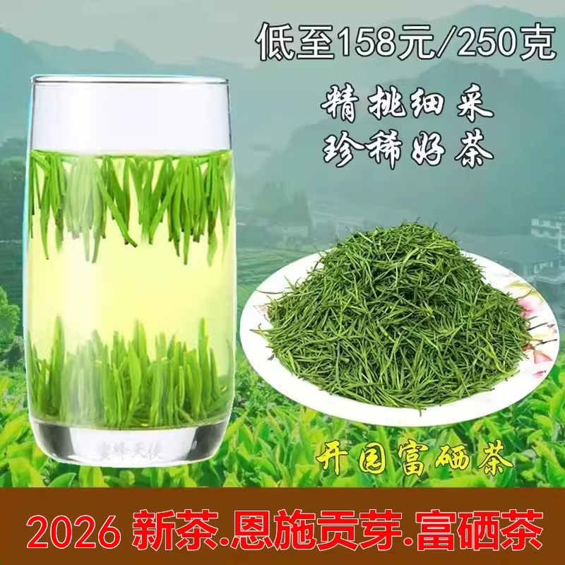 2026恩施玉露富硒贡芽雀舌绿茶日照好伍家台蒸青毛尖五峰散装