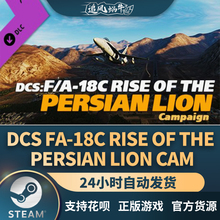 Steam 正版 PC 游戏 DCS: F/A-18C Rise of the Persian Lion Cam