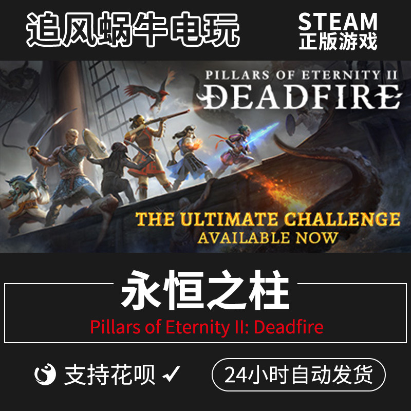 pc正版 steam游戏  永恒之柱2  pillars of eternity ii