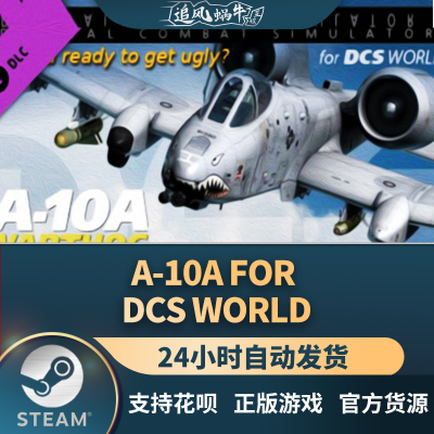 A-10AforDCSWorld